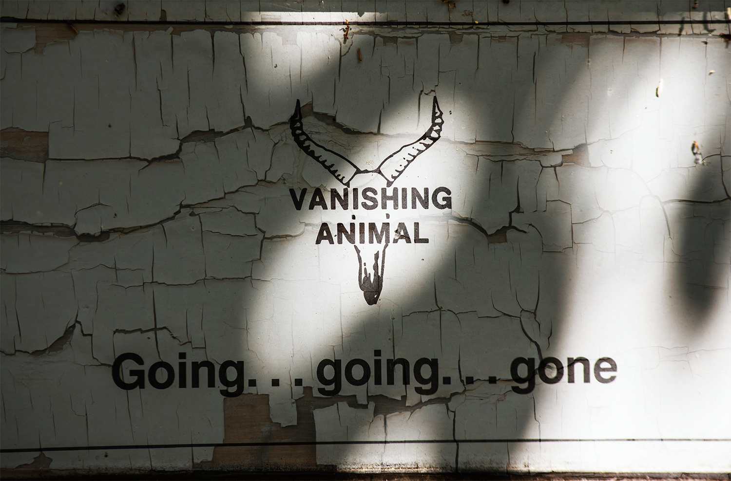 Vanishing animal