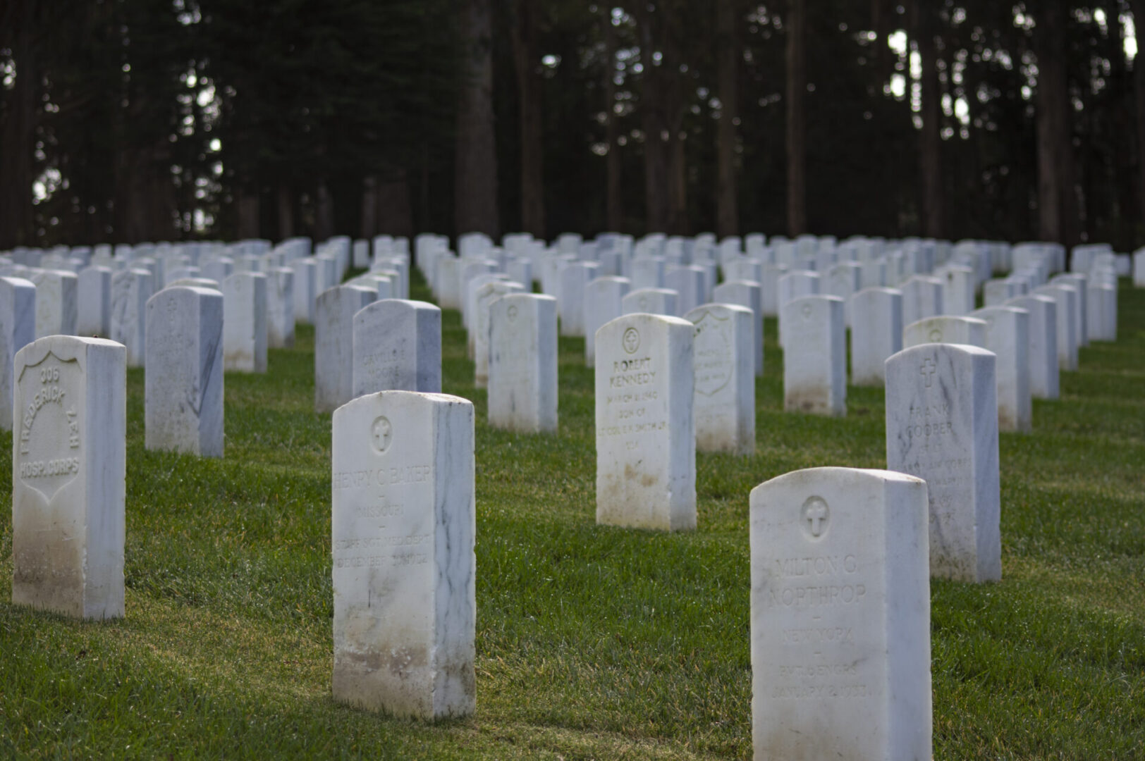 A cemetery