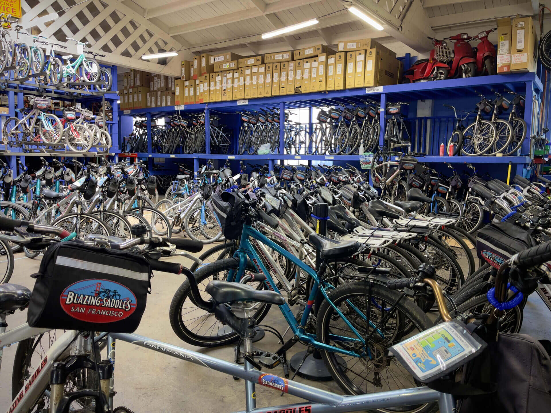 A room full of blazing saddles cycles