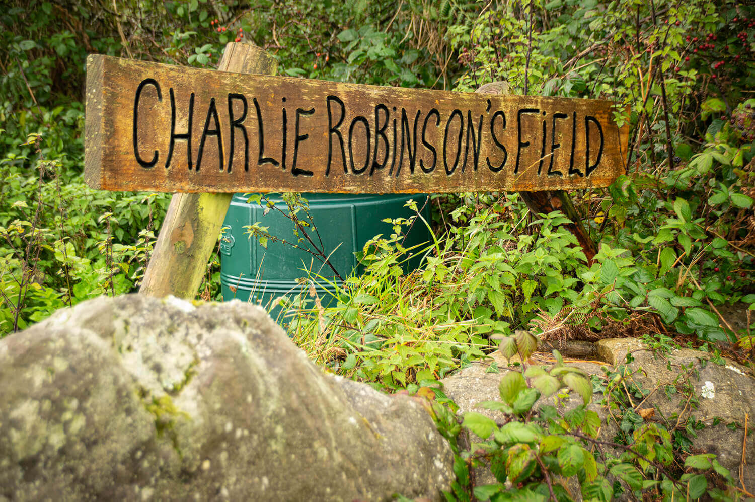 Charlie robinsons field board on rocks