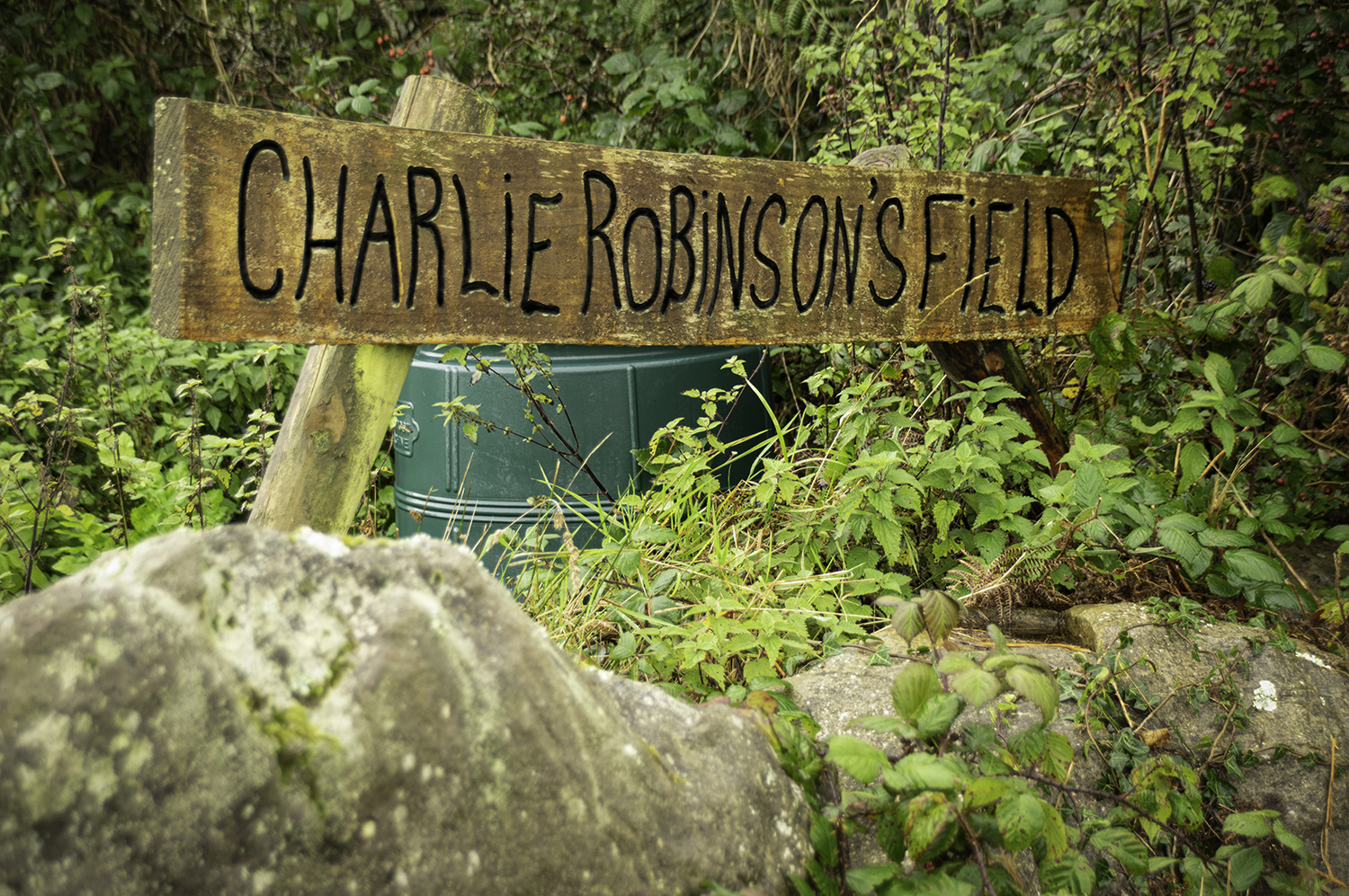 Charlie Robinson’s Field