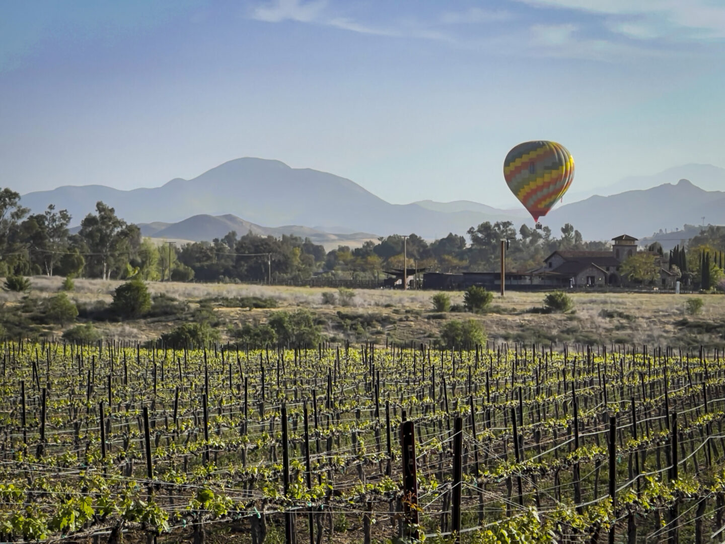 Hot air ballooning across Temecula Valley vineyards.