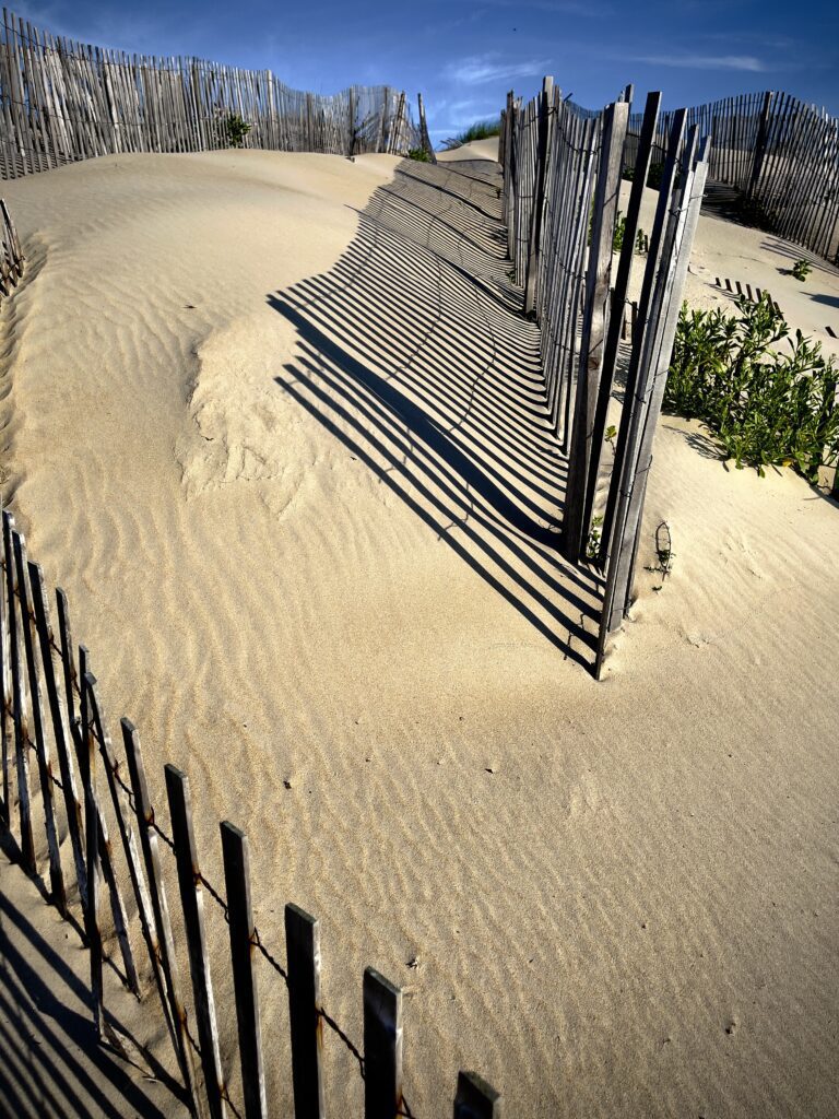Sand Fences