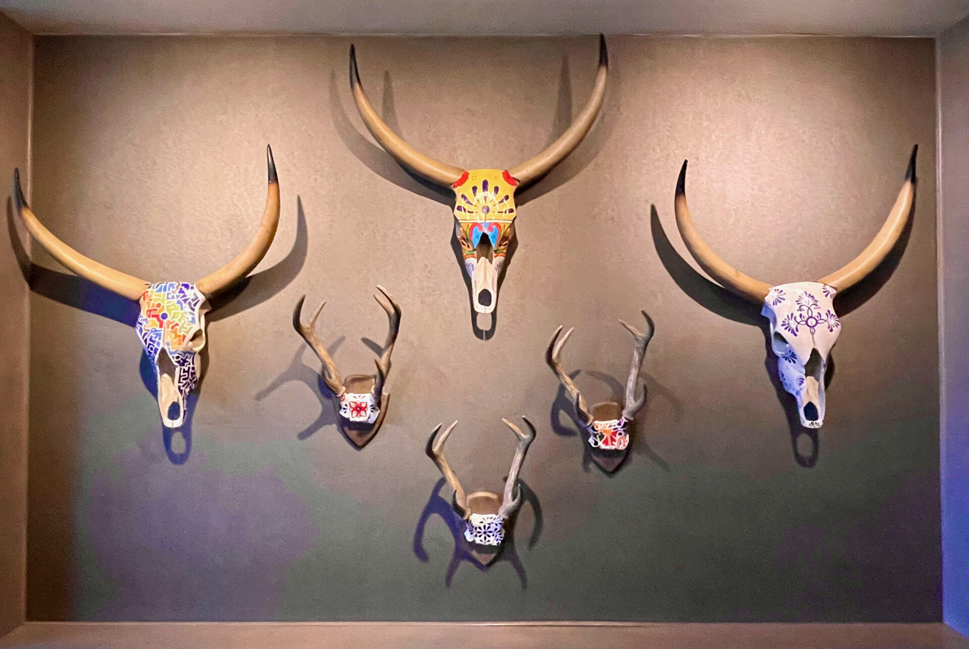 Bison skulls with paint