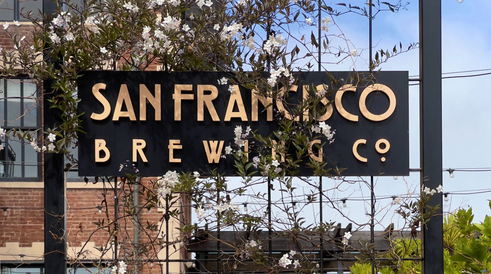 San Francisco Brewing Co Black Color Board